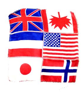 FLAG silk Blendo set.jpg