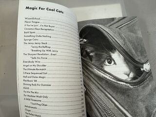 Magic for Cool Cats.Contents.jpeg