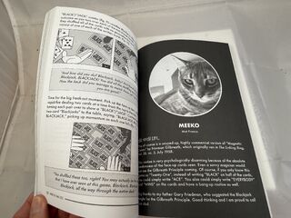 Magic for Cool Cats.inside.2.jpeg