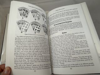 The Impostress Princess.RandomInside.2.jpeg