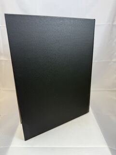 The Magic of Francis Carlyle.back.jpeg