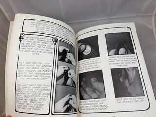 The Magic of Francis Carlyle.insidePages.3.jpeg