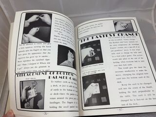 The Magic of Francis Carlyle.randomInside.2.jpeg